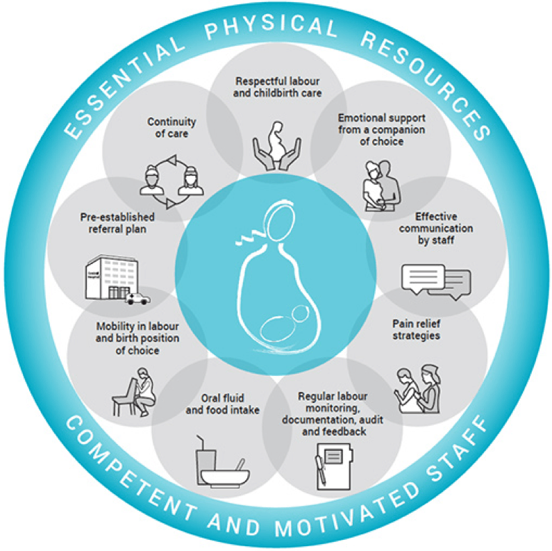 WHO Reproductive Guidelines