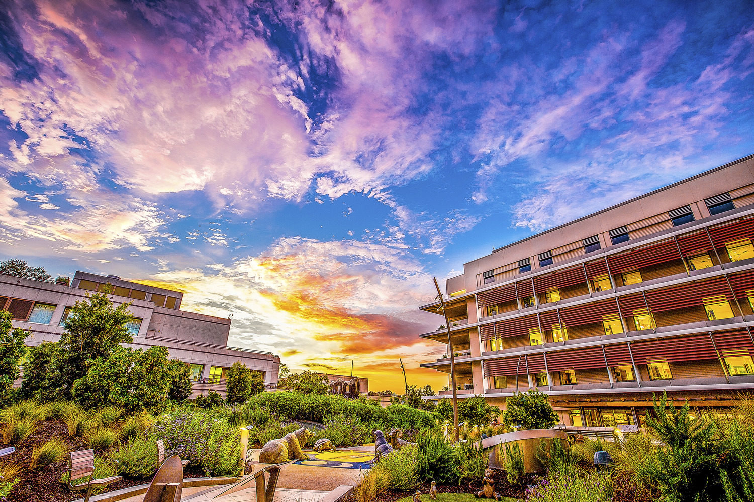 Lucile Packard Children s Hospital Earns More Recognition As An
