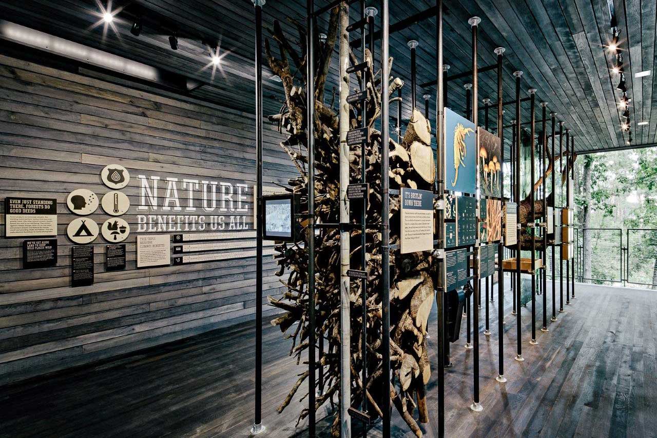 Sustainability Treehouse