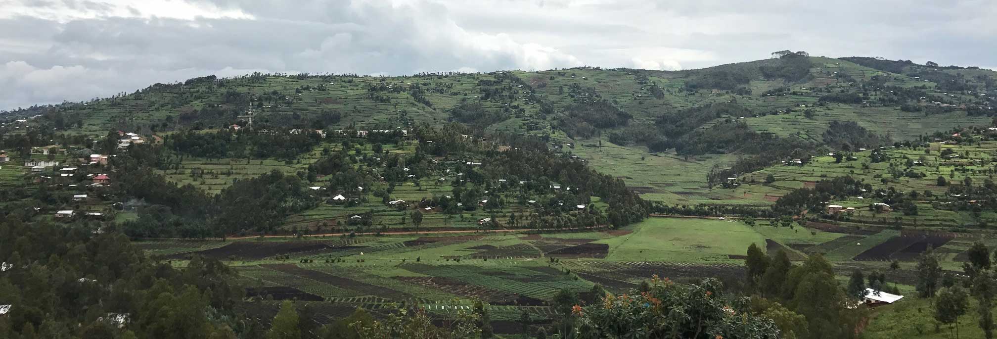 University of Global Health Equity